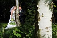 Hochzeitspaar im Birkenwald